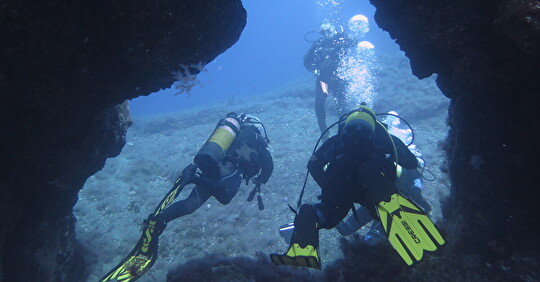 Stage d'exploration et validation des niveaux